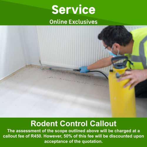 Rodent Control Callout by Puribo Cleaning