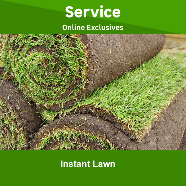 Instant lawn by Newlook Property Services