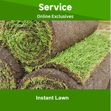 Instant lawn by Newlook Property Services