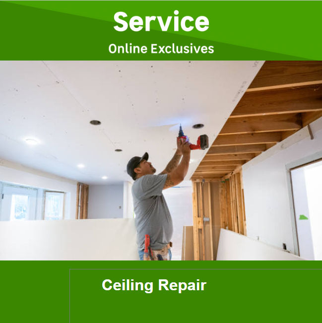 Ceiling Repair by Newlook Property Services