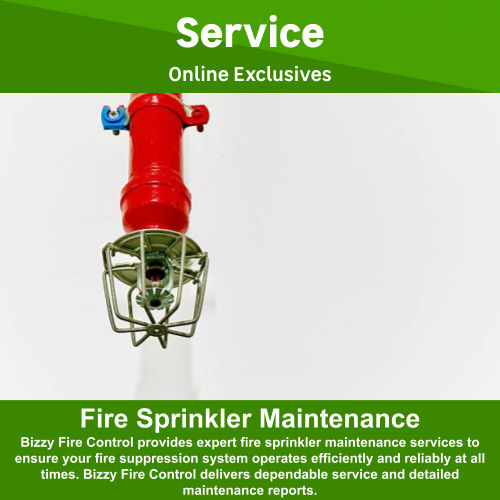 Fire Sprinkler Maintenance by Bizzy Fire Control