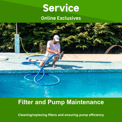 Filter and Pump Maintenance By Newlook Property Service