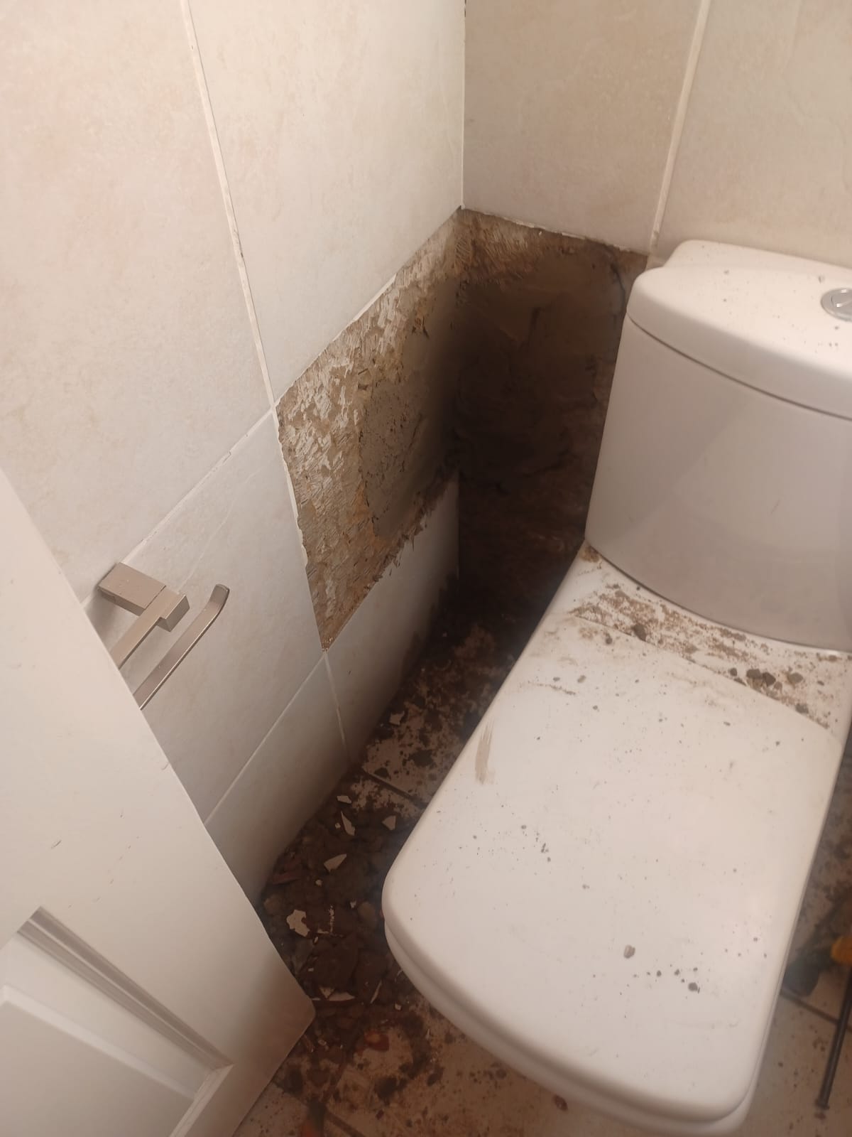 Toilet Flush Repair by Newlook Property Services