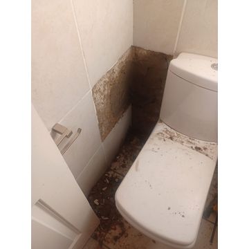 Toilet Flush Repair by Newlook Property Services