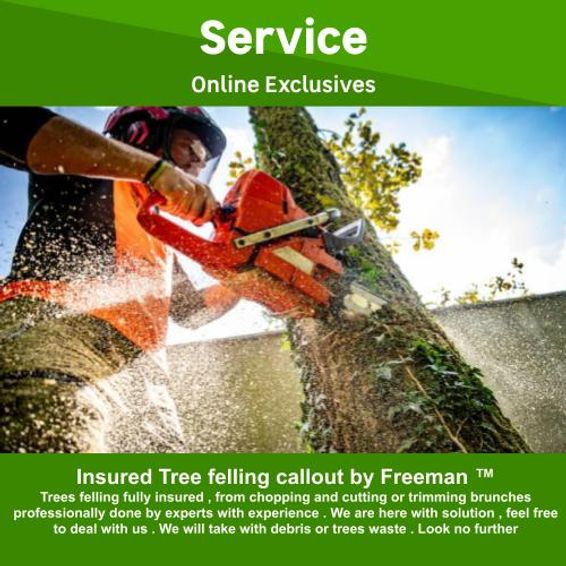 Insured Tree felling callout by Freeman TM