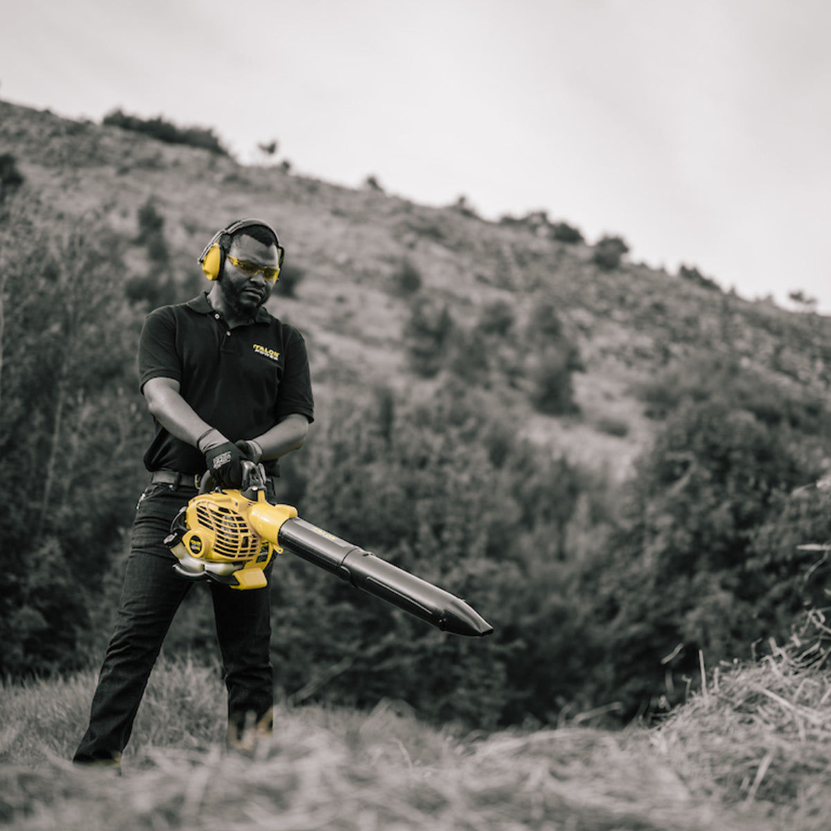 Talon Petrol Blower Handheld 26 Cm