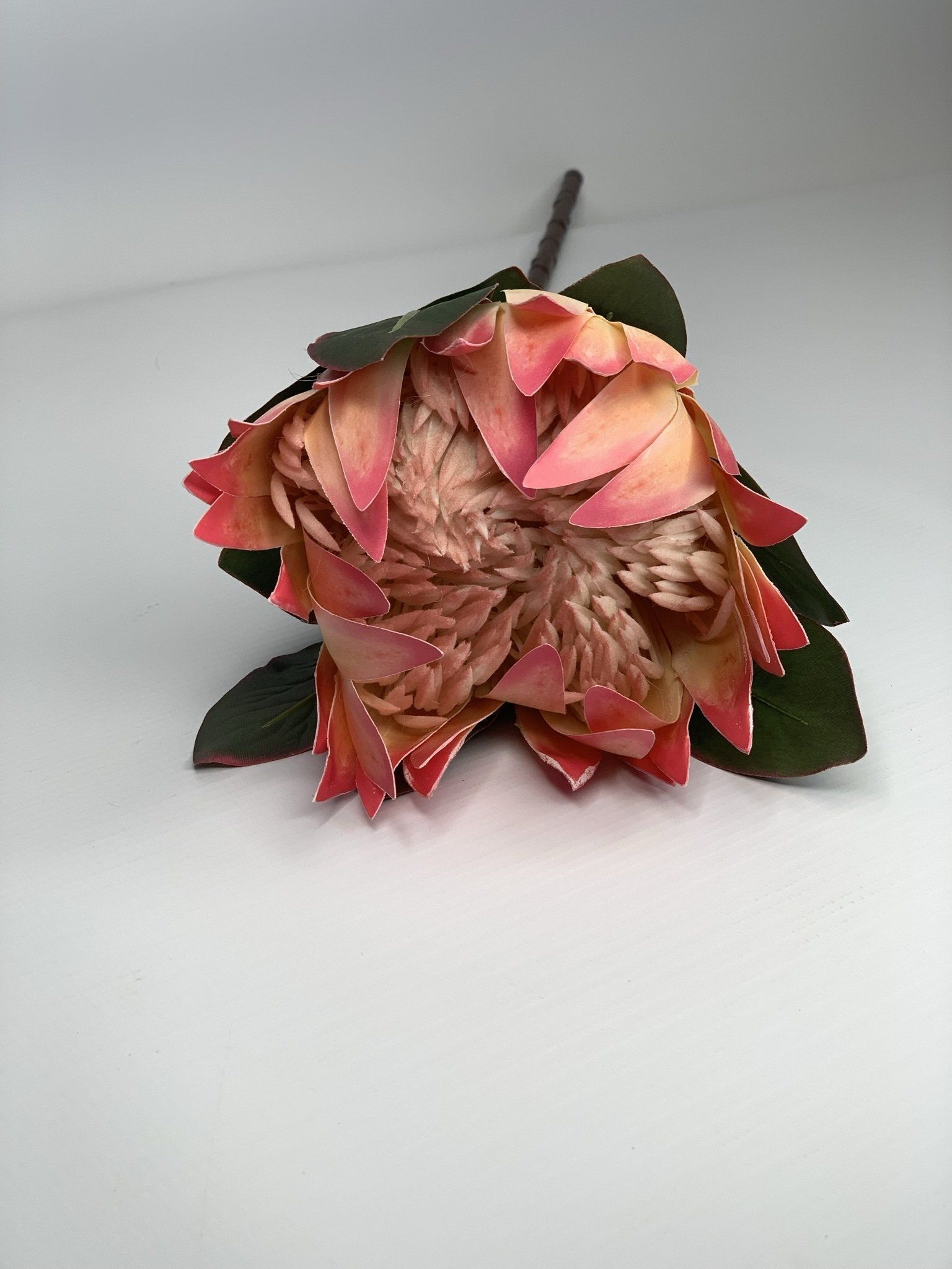 Protea Pink 74Cm
