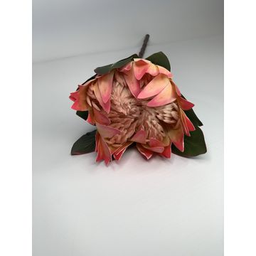 Protea Pink 74Cm