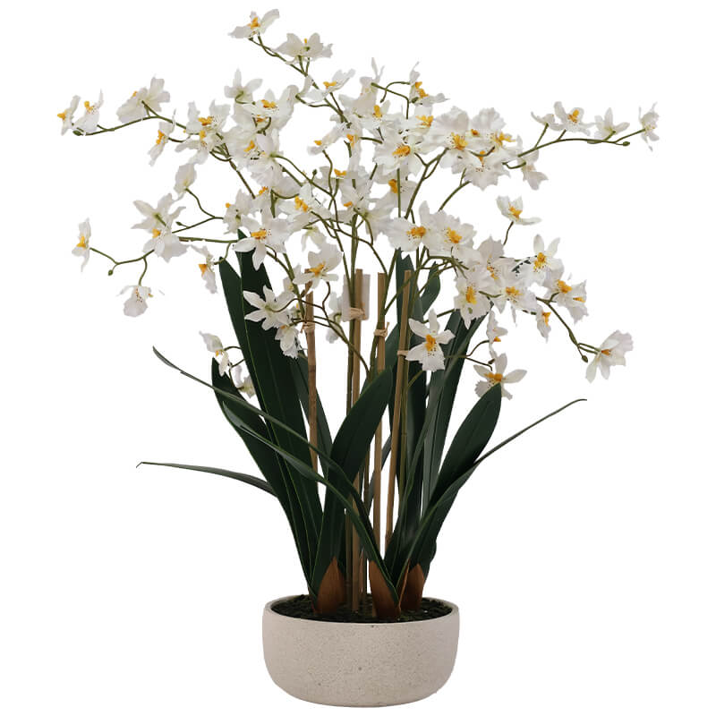PREMIUM WHITE ARTIFICIAL ONCIDIUM IN WHITE POT 72CM