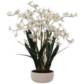 PREMIUM WHITE ARTIFICIAL ONCIDIUM IN WHITE POT 72CM