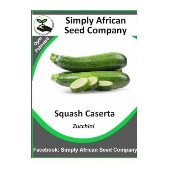 Squash Caserta (Zucchini) 12's