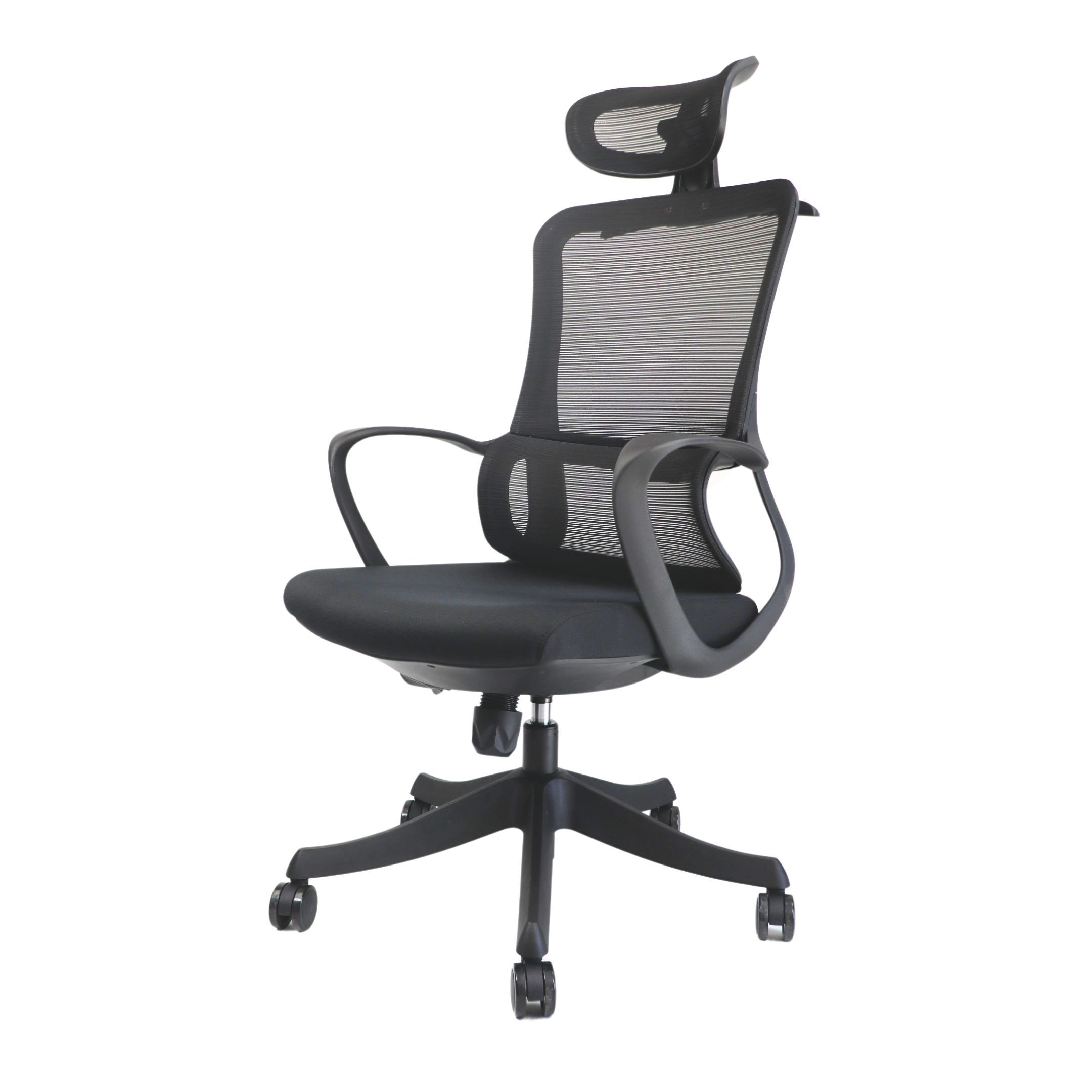 Executive Ergonomic Office Chair - Lumiere