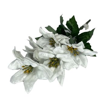 POINSETTIA 5 HEADS 33X12CM WHITE