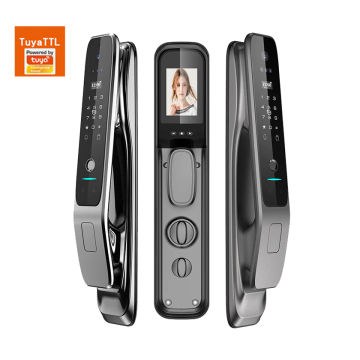 Biometric Smart Door Lock - F030