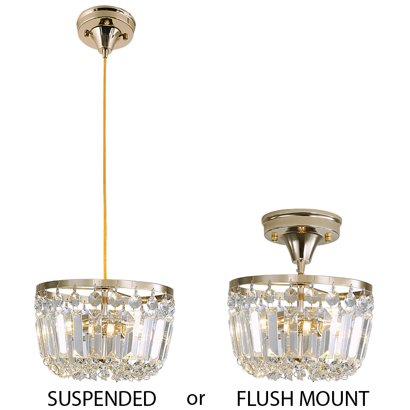 2 in 1 Pendant and Ceiling Light