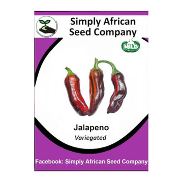 Jalapeno (Variegated) 12's