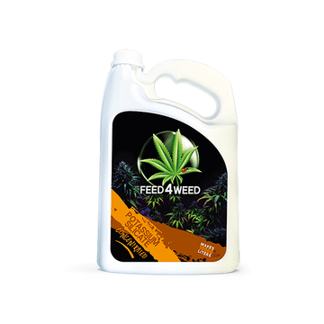 Feed 4 Weed - Potassium Silicate Concentrated 5L