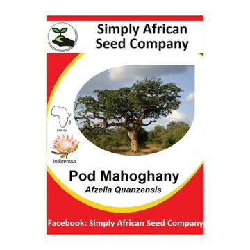 Pod Mahogany Afzelia Quanzensis 3's