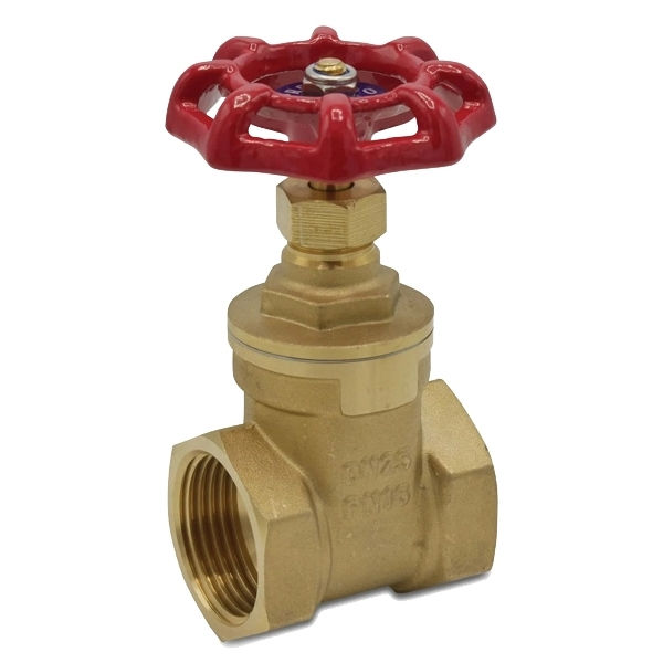 RL GATE VALVE 1/2 F/F