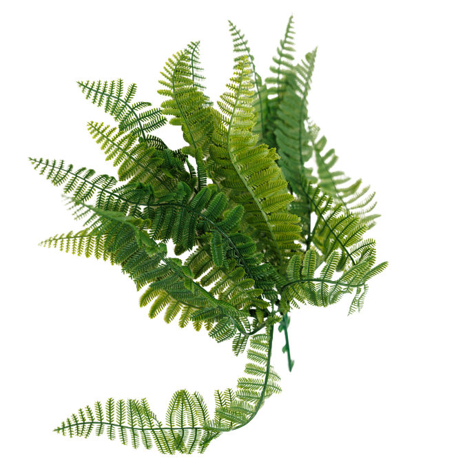 The Green Wall Co. - Artificial Foliage UV Protected - Plant Green Fern