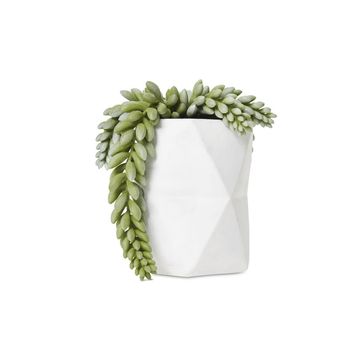 Trailing Bean Leaf Faux Plant in Facetted White Pot