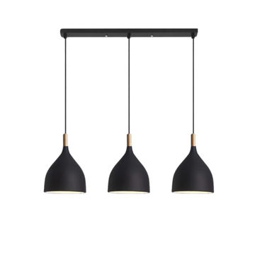 Elegance 3-Light Indoor Island Pendant Light - Black