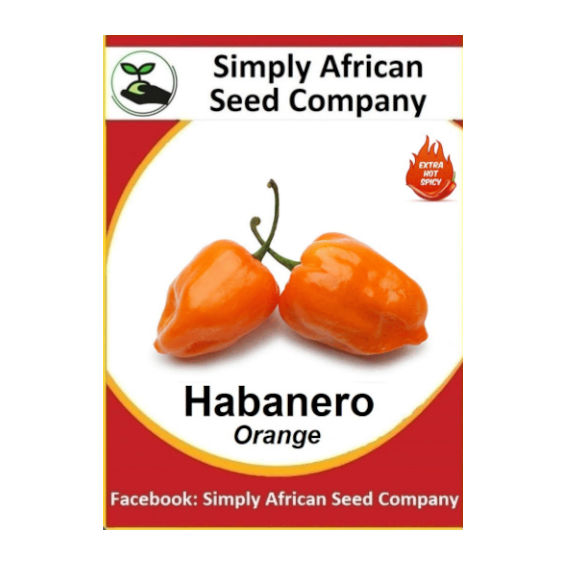 Habanero Orange (30's)