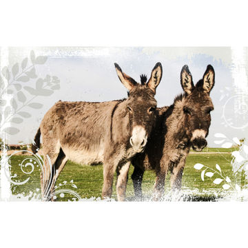 Decoupage Tissue Paper Donkey