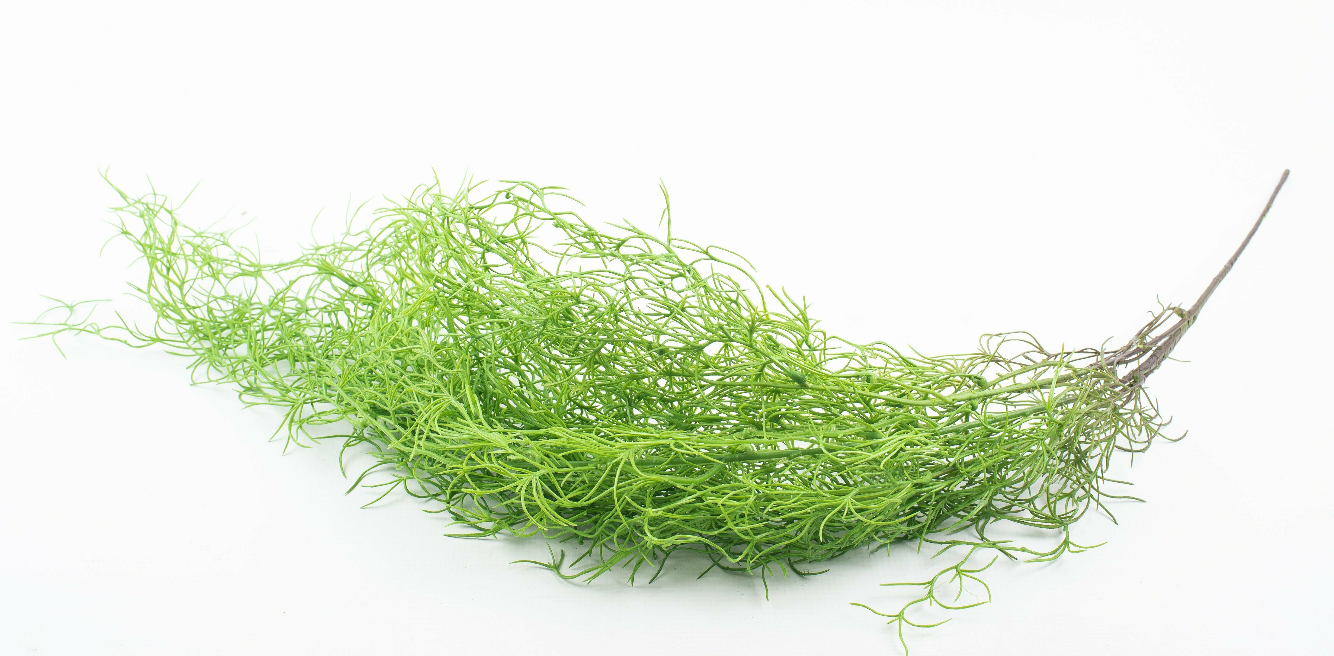 Hanging Grass Plant 70Cm