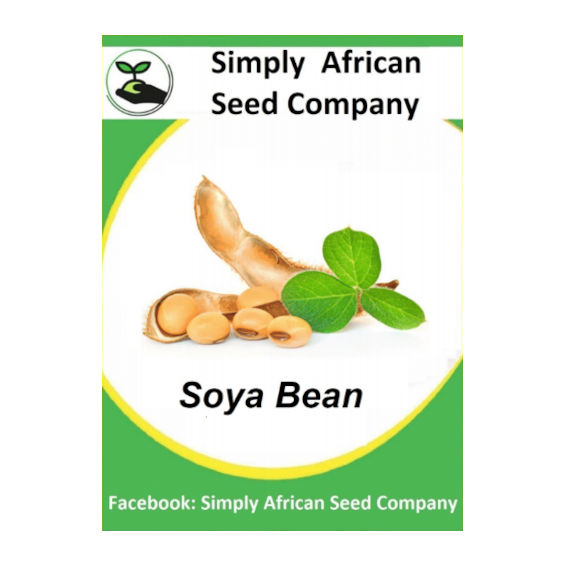 Soya Beans 30's
