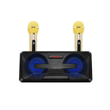 Wireless Live Dual Microphones with Bluetooth Speaker