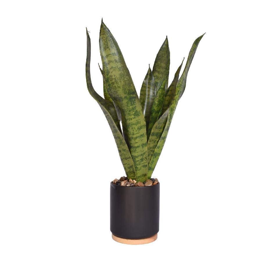 Artificial Indoor Snake Plant