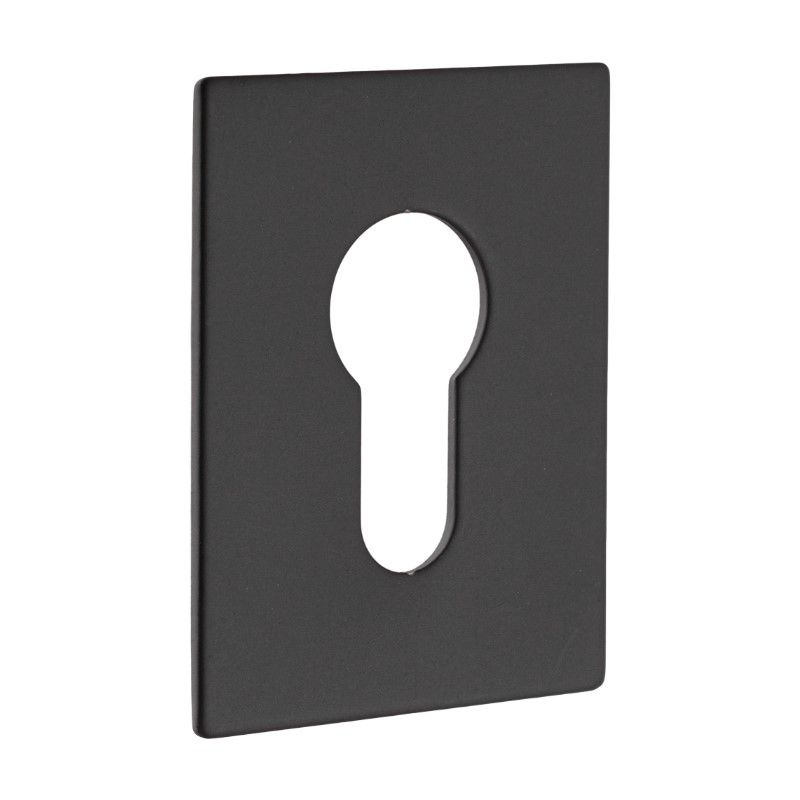 003 Door Handles Escutcheons
