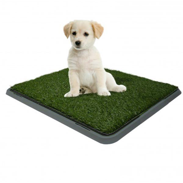 Pet potty grass best sale