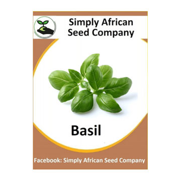 Basil (100's)