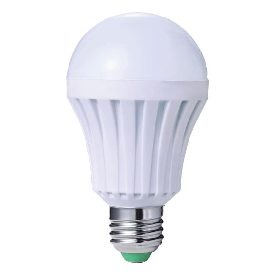 Eurolux Rechargeable LED Light Bulb E27 3W Daylight