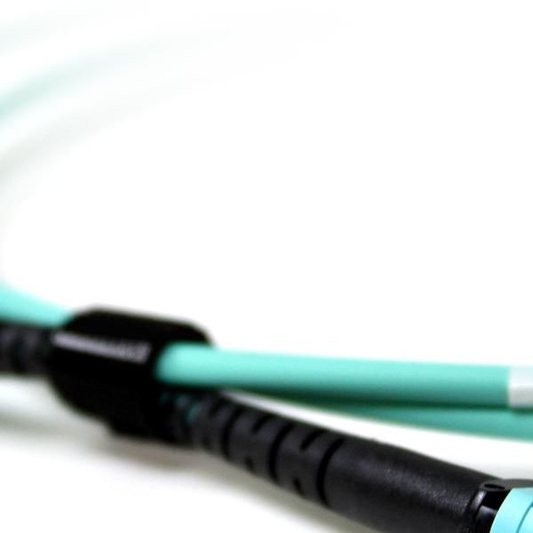 Acconet Patch Lead 12Core Mpo Female To Mpo Female 1M