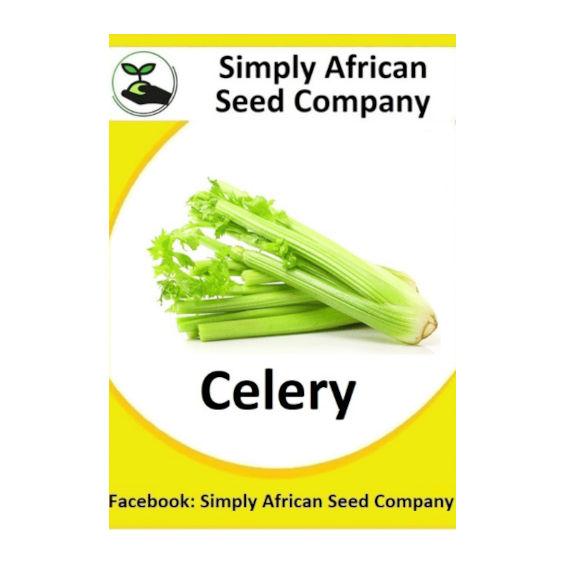 Celery 100's