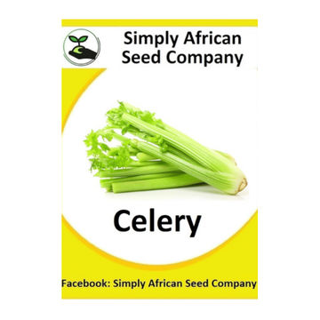 Celery 100's