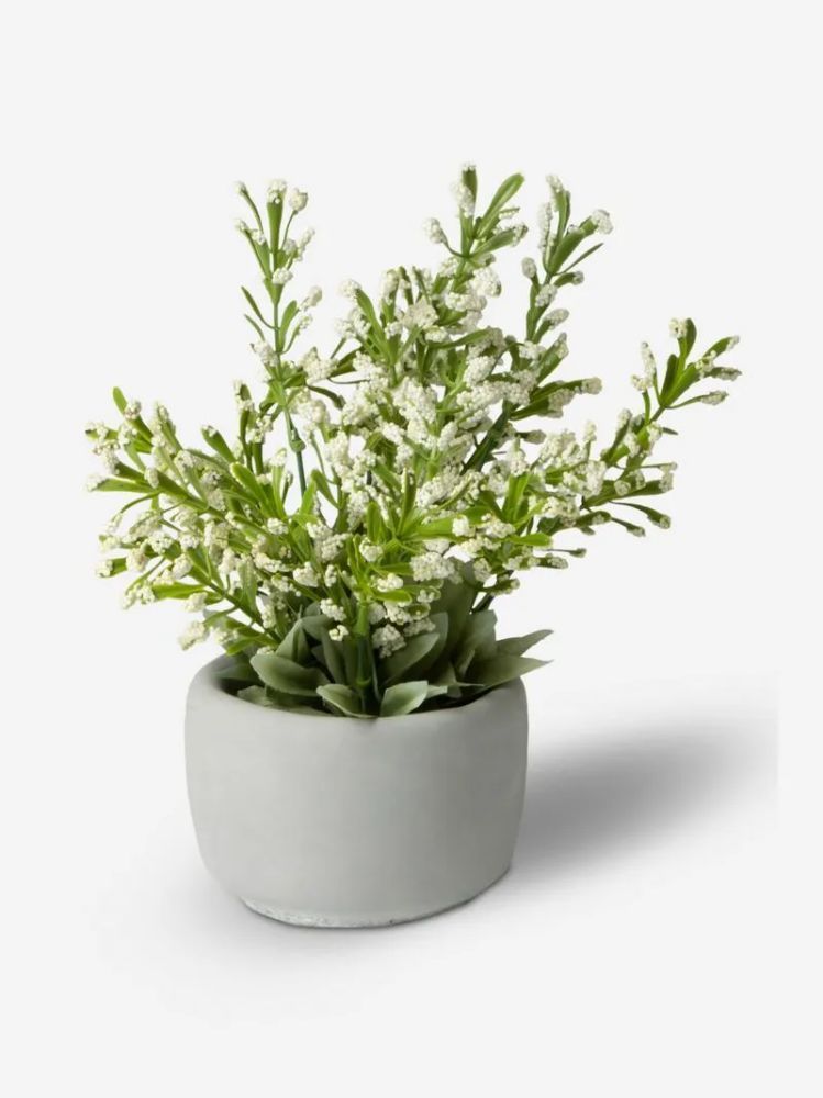 Soft Flower Faux Plant in Cement Pot 27cm – Artificial Indoor Tabletop Décor