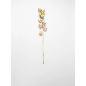 Faux Cape Gooseberry Flower Spray Dark Pink 79cm – Artificial Floral Stem