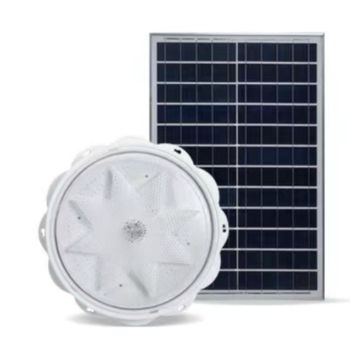 Solar bright light- 100W