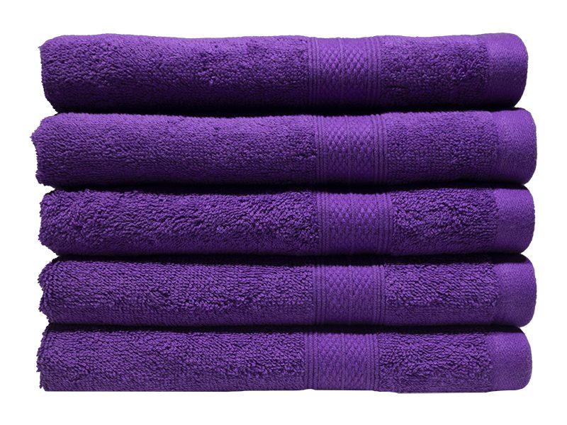 Plush 450GSM 50x90cms Hand Towels-05 Pc Pack-Royal Lilac