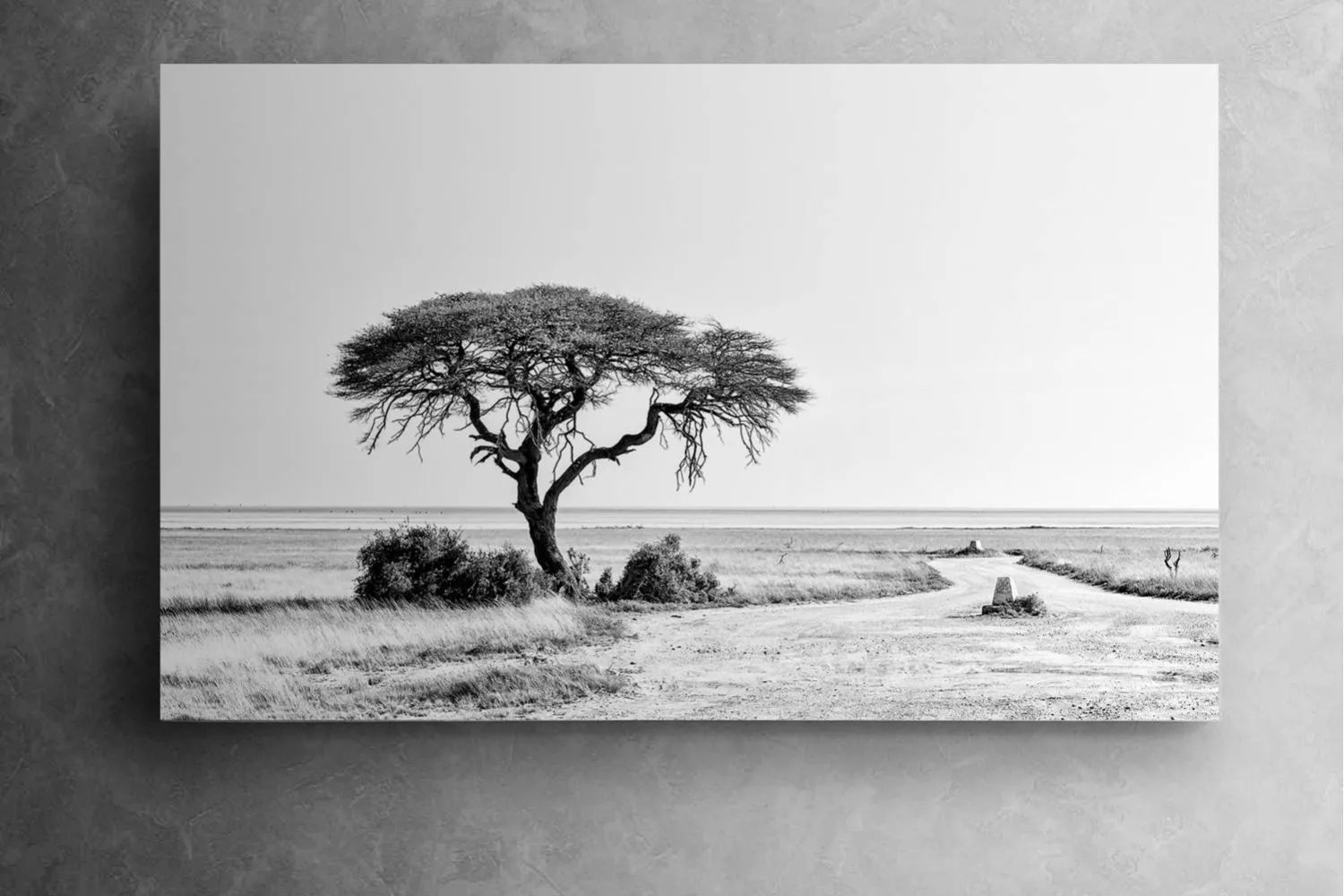 Etosha Canvas