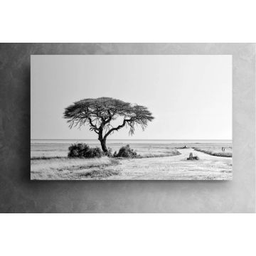 Etosha Canvas