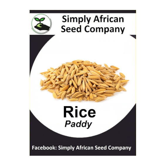 Rice Paddy (50's)