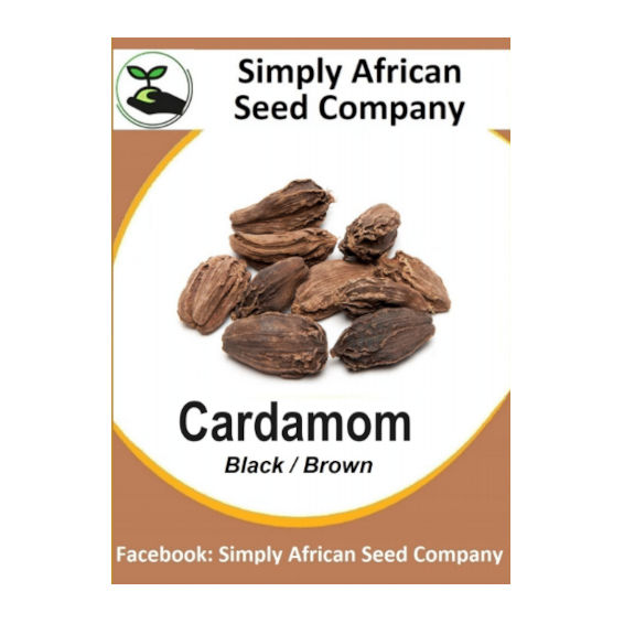 Cardamom Black 6's