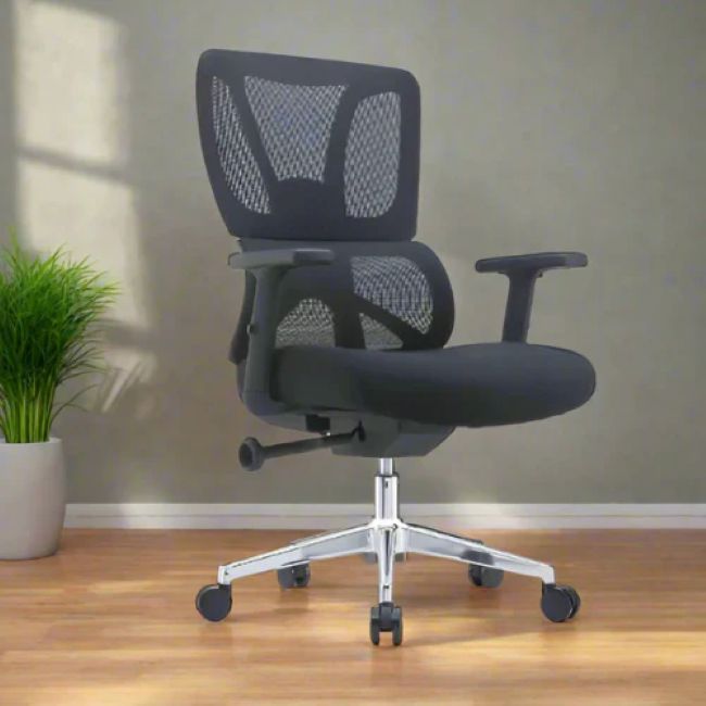 QandAHome-Vera Orthopedic and Ergonomic Office Chair