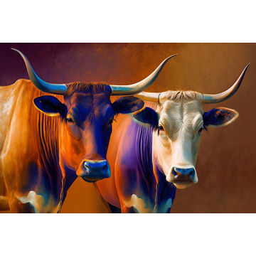 Canvas Wall Art - Two Colourful Sahiwal Cattle - B1445 - [120 x 80 cm]