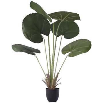 SOPHISTICATED ARTIFICIAL FAN LEAF PALM 120CM